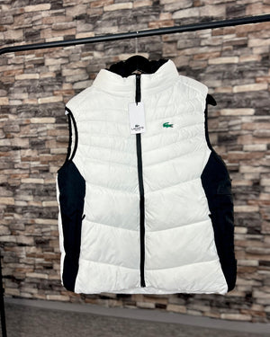 Lacoste - White 586